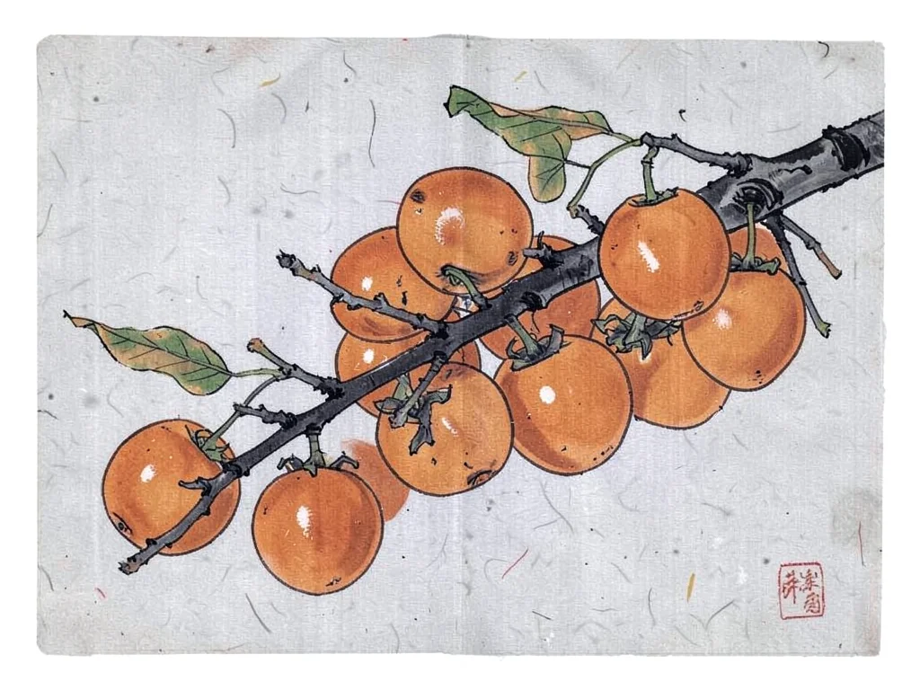 Autumn persimmon branch heavy with orange fruit against pale grey ground