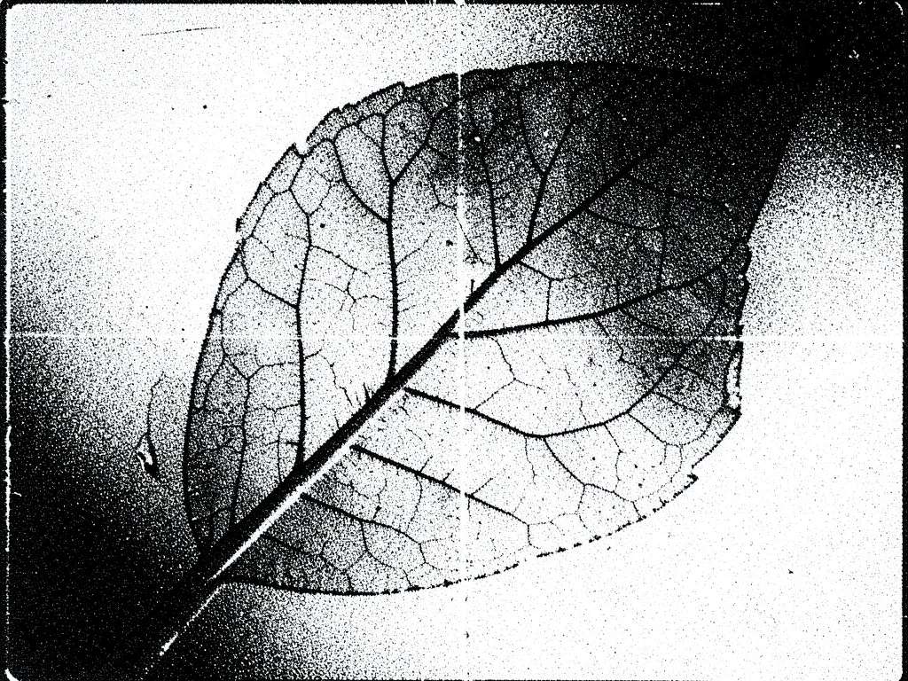 Photocopied leaves losing detail with each generation, final copy showing only t