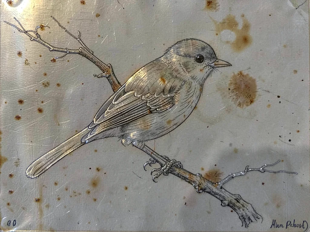 Small bird with detailed feathers