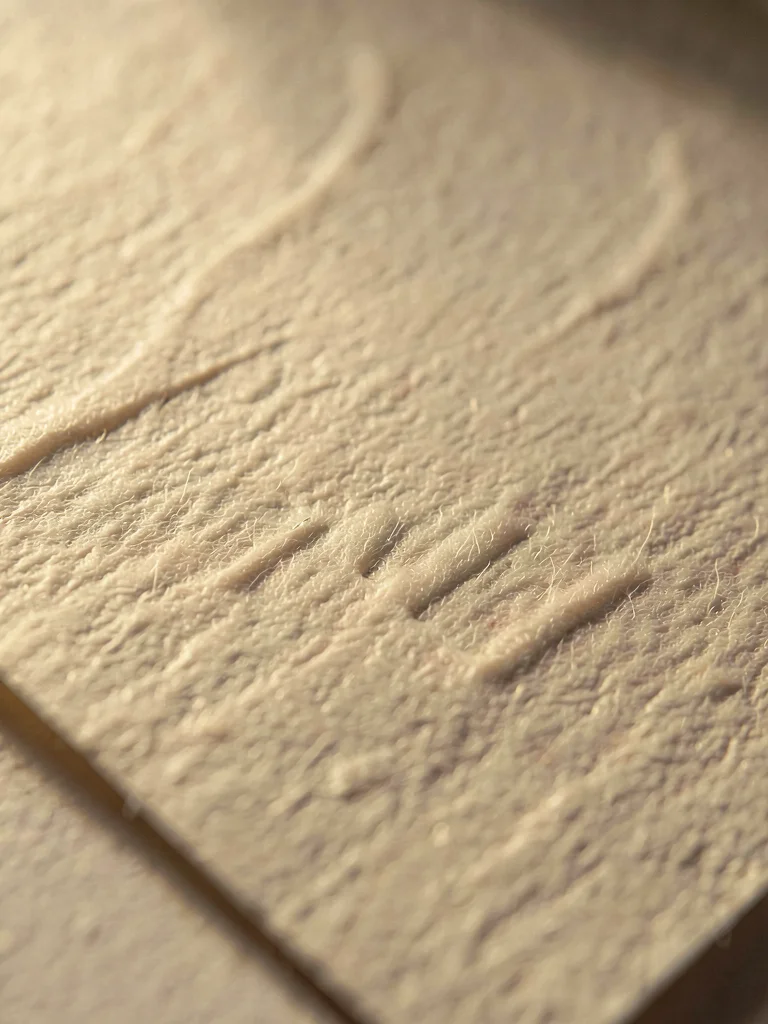 Embossed grain pressed into ivory cotton showing pebbled tooth lit at low angle 