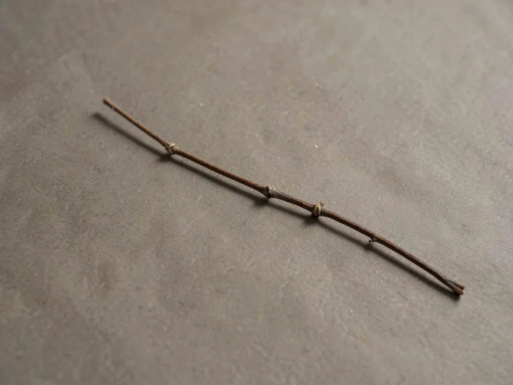 One slender dried wisteria branch laid diagonal across warm-grey paper, knotted 