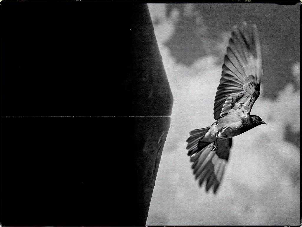 Bird at right margin in mid-flight leaving the frame