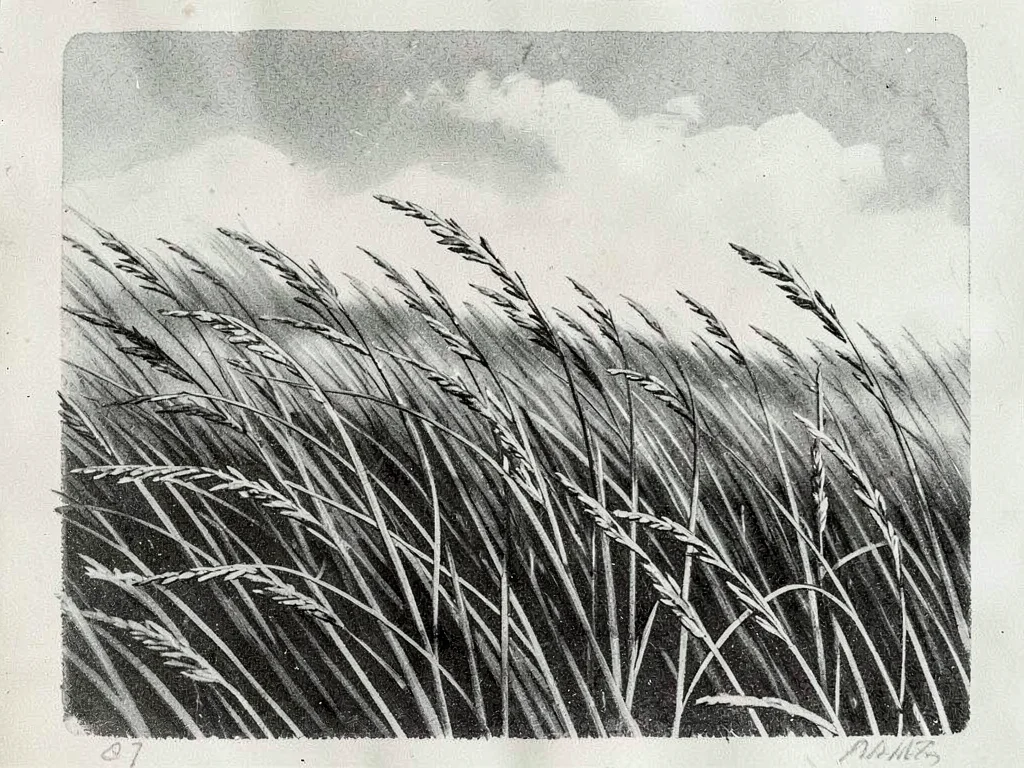 Grass bending in wind