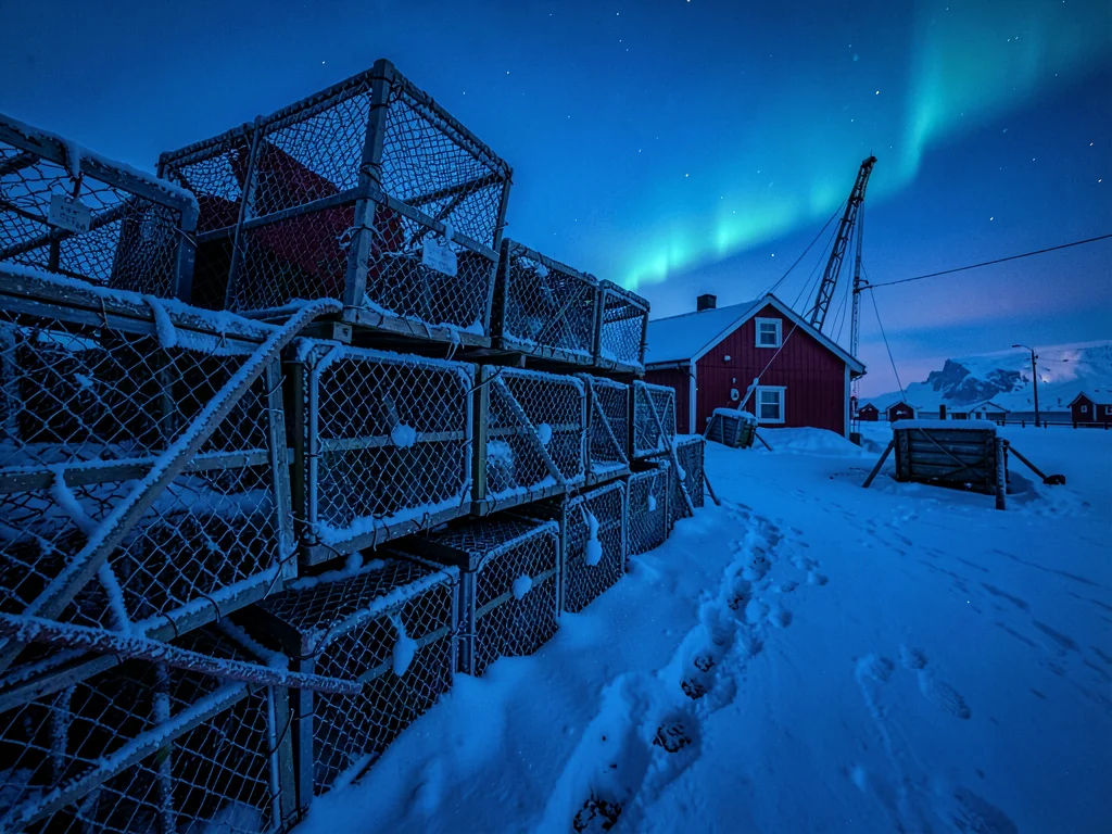Polar night blue hour in Tromso, Norway, stacked lobster traps covered in frost,