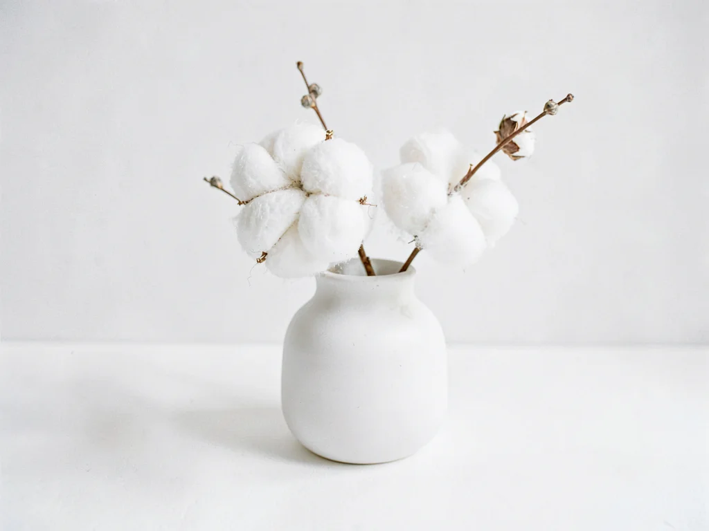 Cotton minimal white arrangement