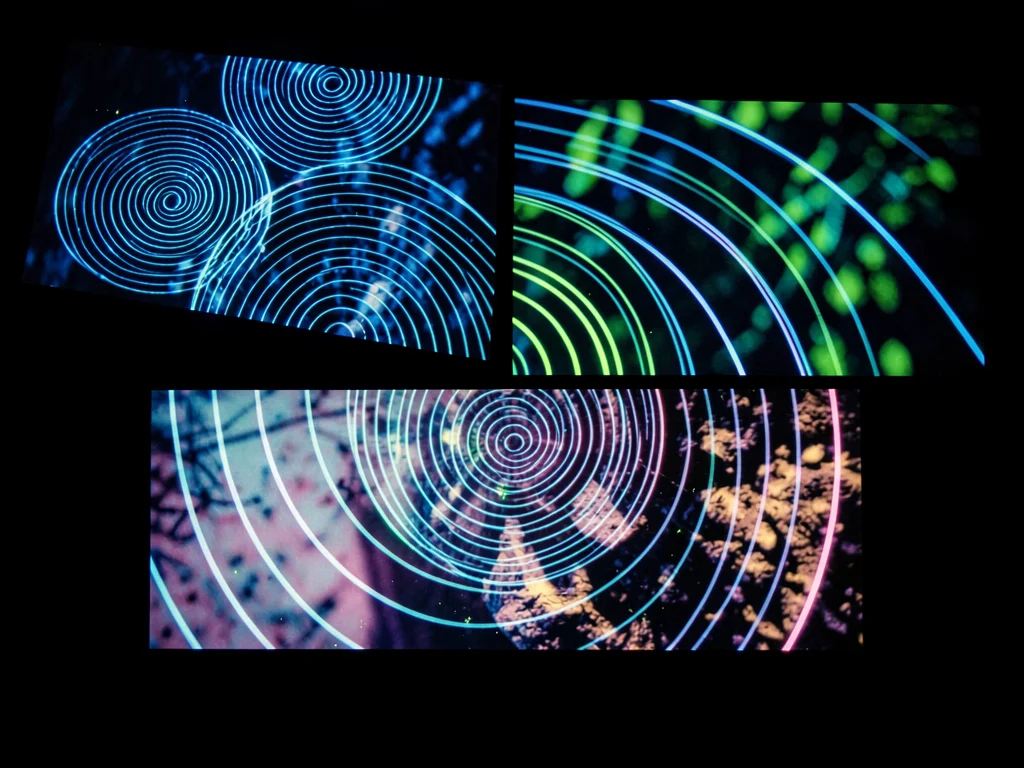 Magnetic viewing film showing coil field patterns