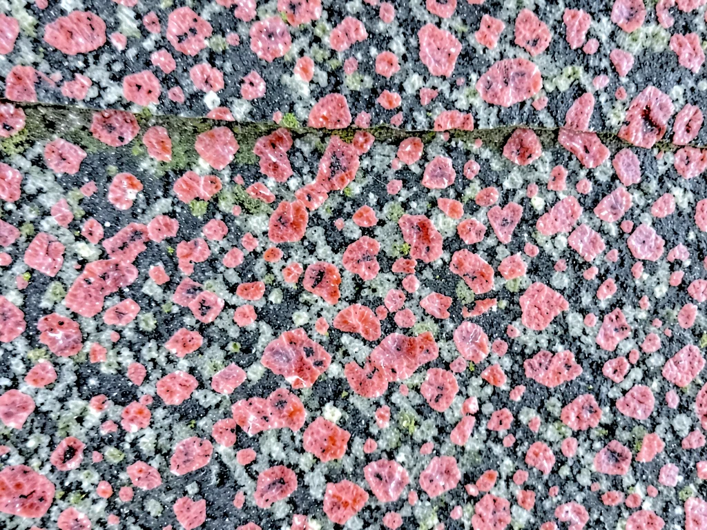 Feldspar crystals as pink in gray matrix