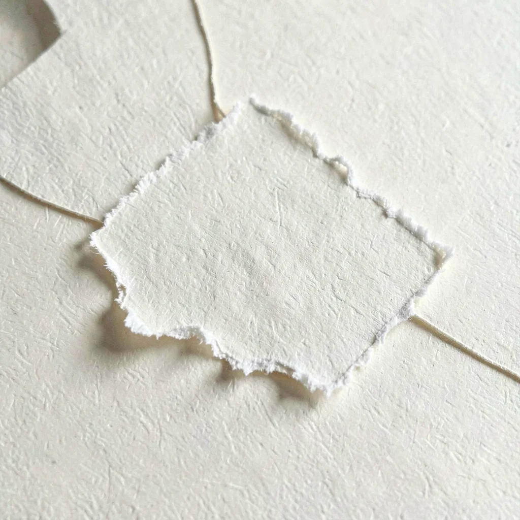 Paper macro of a torn deckle edge across cream cardstock, soft hairline shadow b