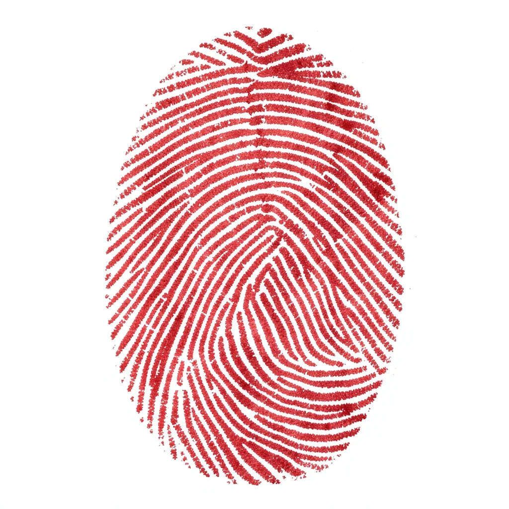 Fingerprint ridges