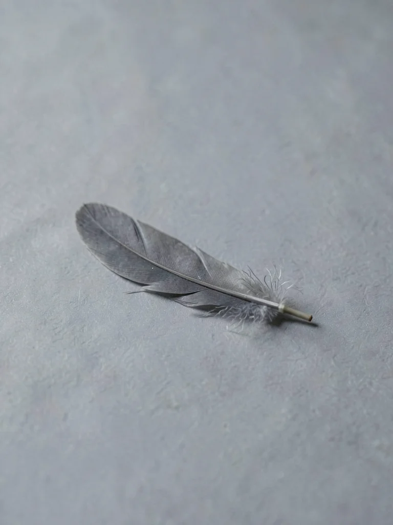 A solitary grey crow feather resting on cool-grey paper, barbs lifting in faint 