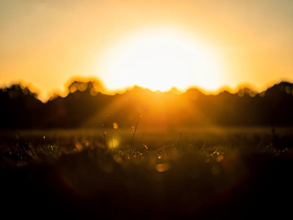 Golden hour extreme backlit