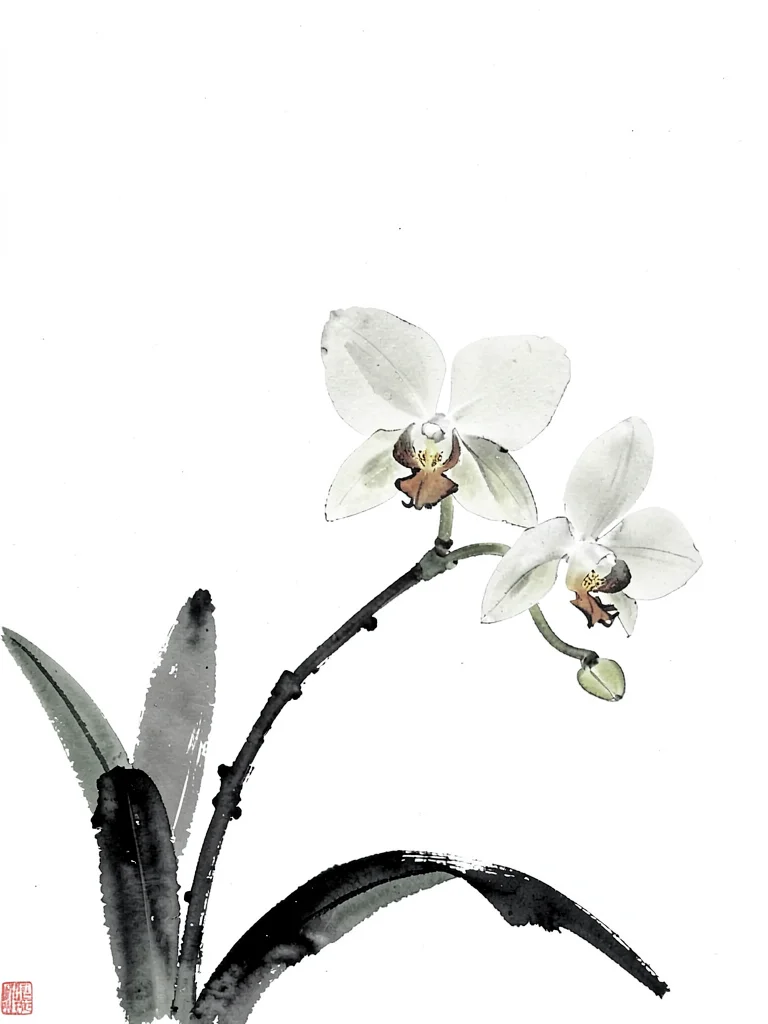 Orchid spray with three blooms, ink gradation from dark root to pale petal