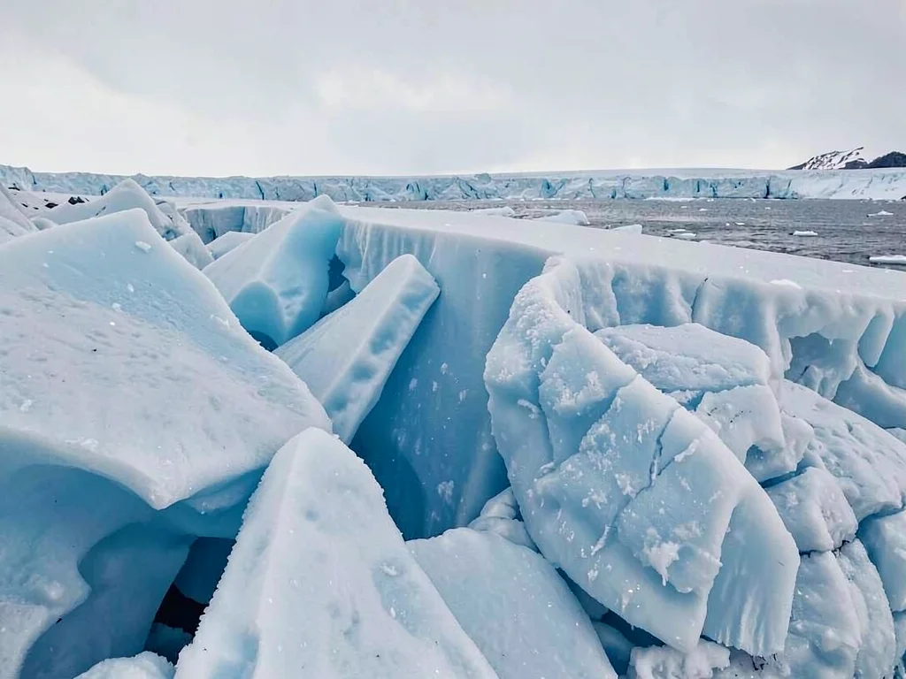 Rime ice on glacier showing accretion