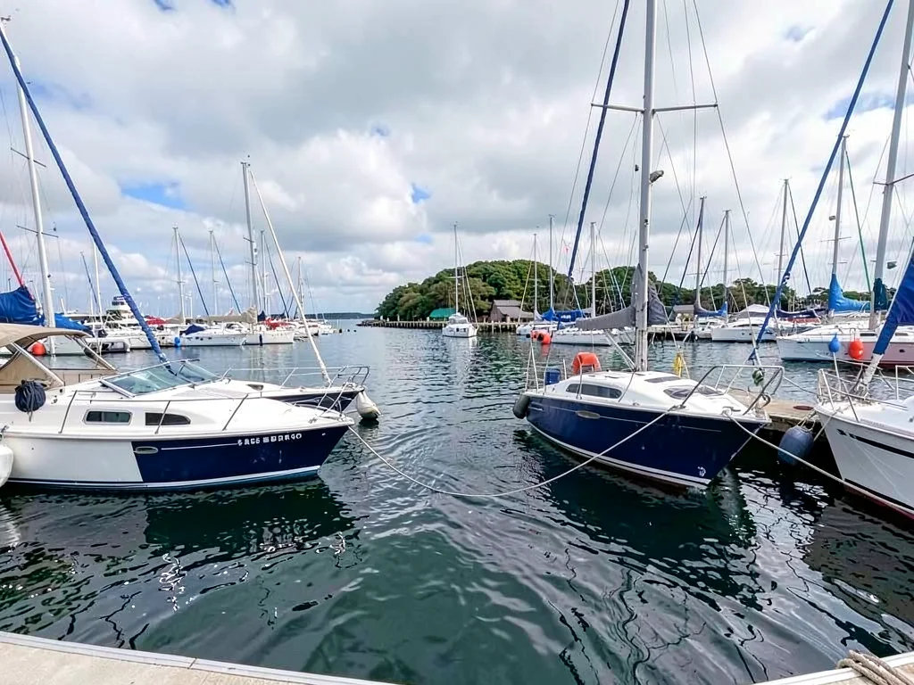 Harbor boats organized
