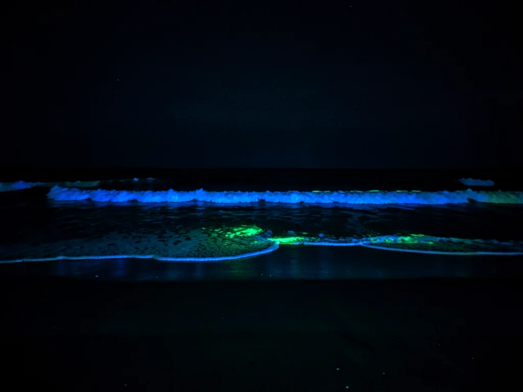 Night shore with bioluminescent surf — dark beach with blue glowing line of wave