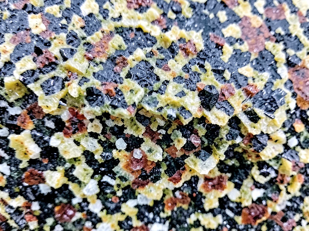 Rain-wet granite showing crystal detail