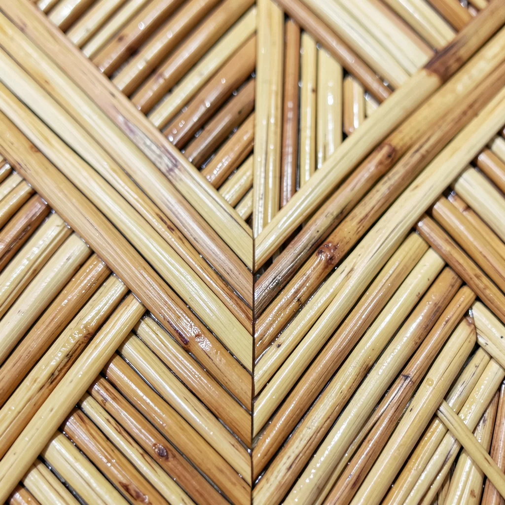 Close-up of the transition between two straw fields of slightly different amber 