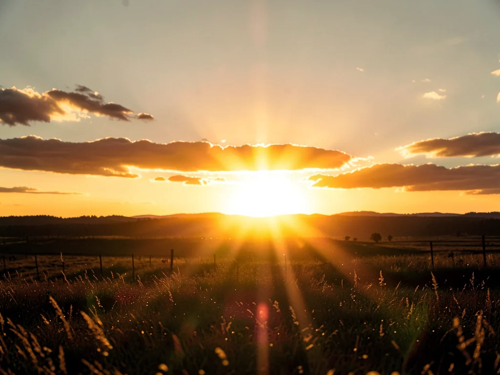 Golden hour extreme backlit