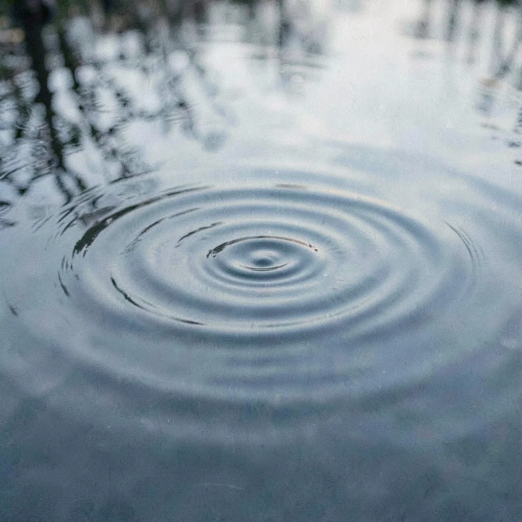 Organic story-card of a slow ripple across a still water surface, calm dusty blu