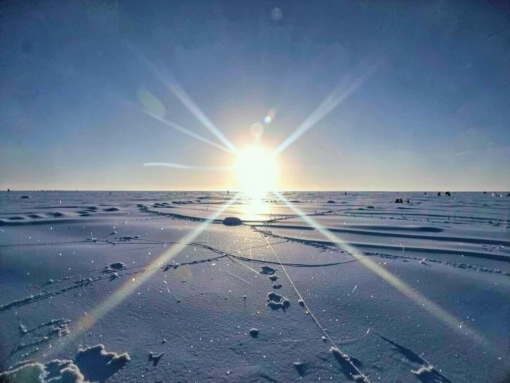 Sun dog pair flanking low winter sun