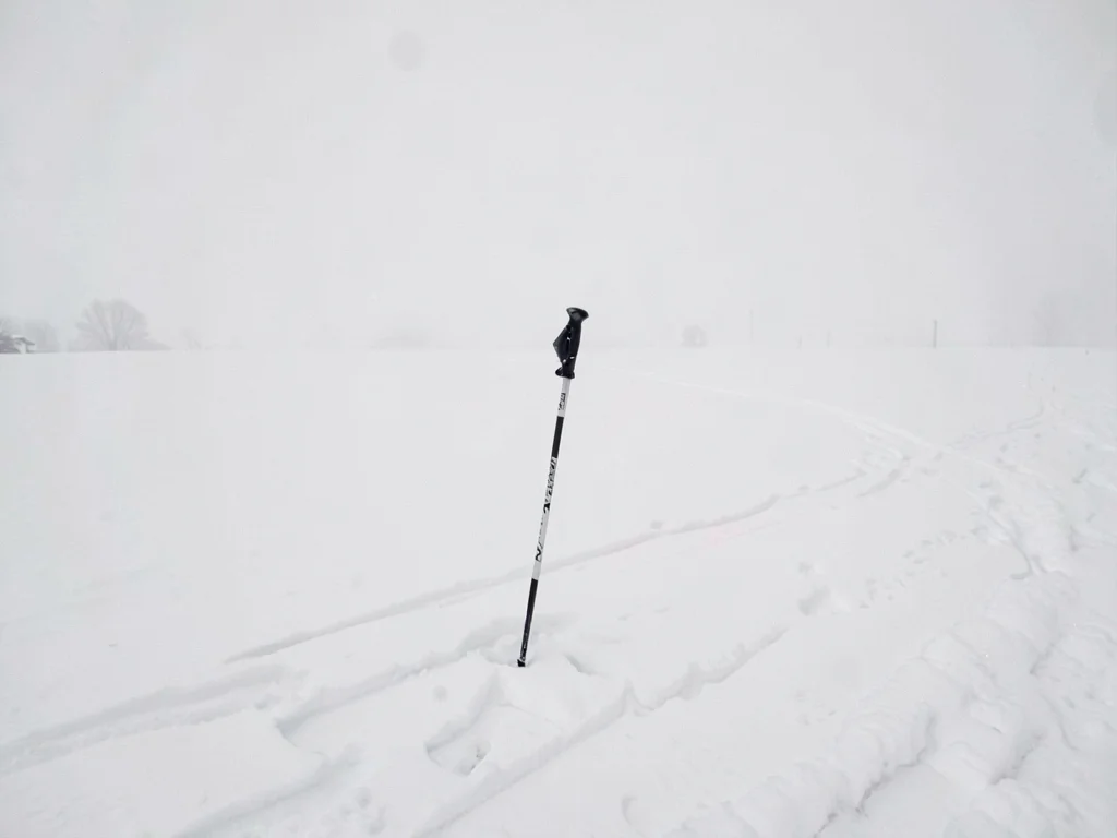 Single ski pole planted in white expanse
