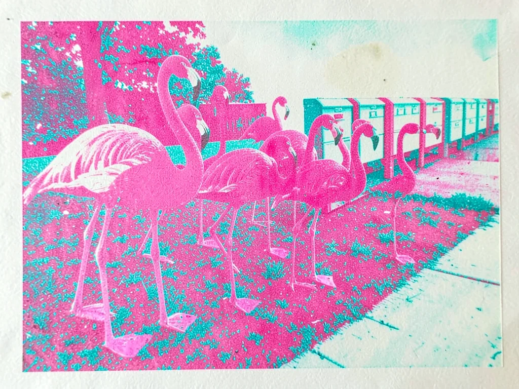 Pink plastic flamingos clustered on a thin patchy lawn beside a row of mailboxes