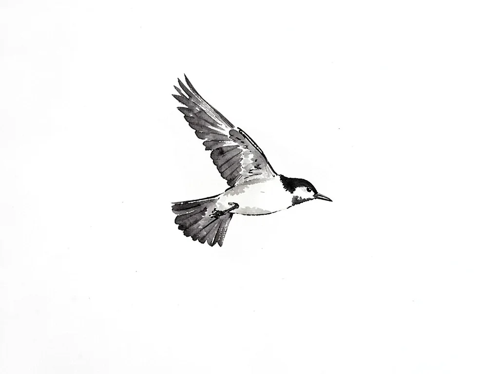 Bird in flight as single element in empty frame