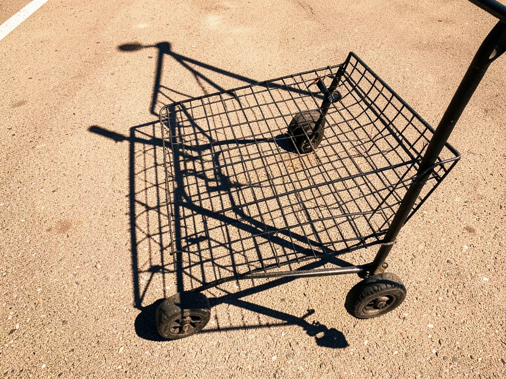 The shadow of a shopping cart cast onto parking lot asphalt at noon, the wire me