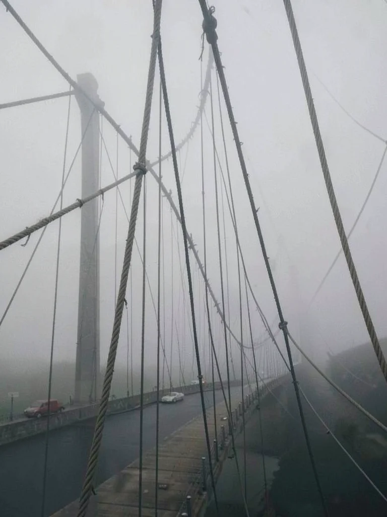 Bridge cables against fog, the mathematics of suspension becoming abstract art