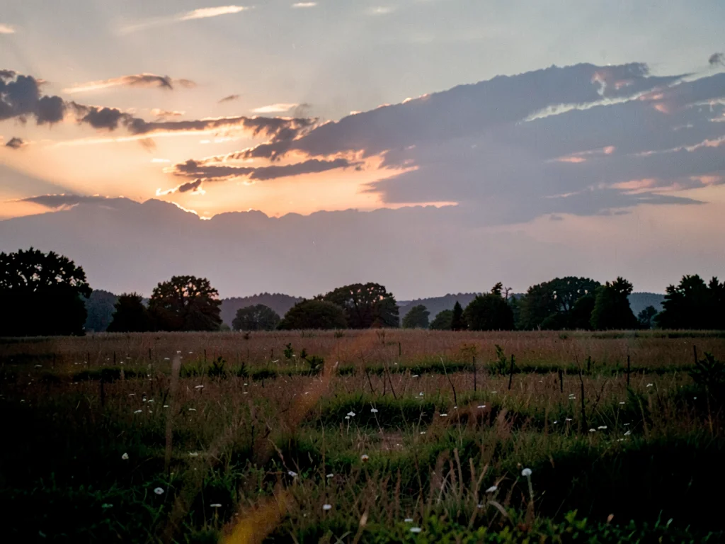 Field at dusk showing remaining sky glow