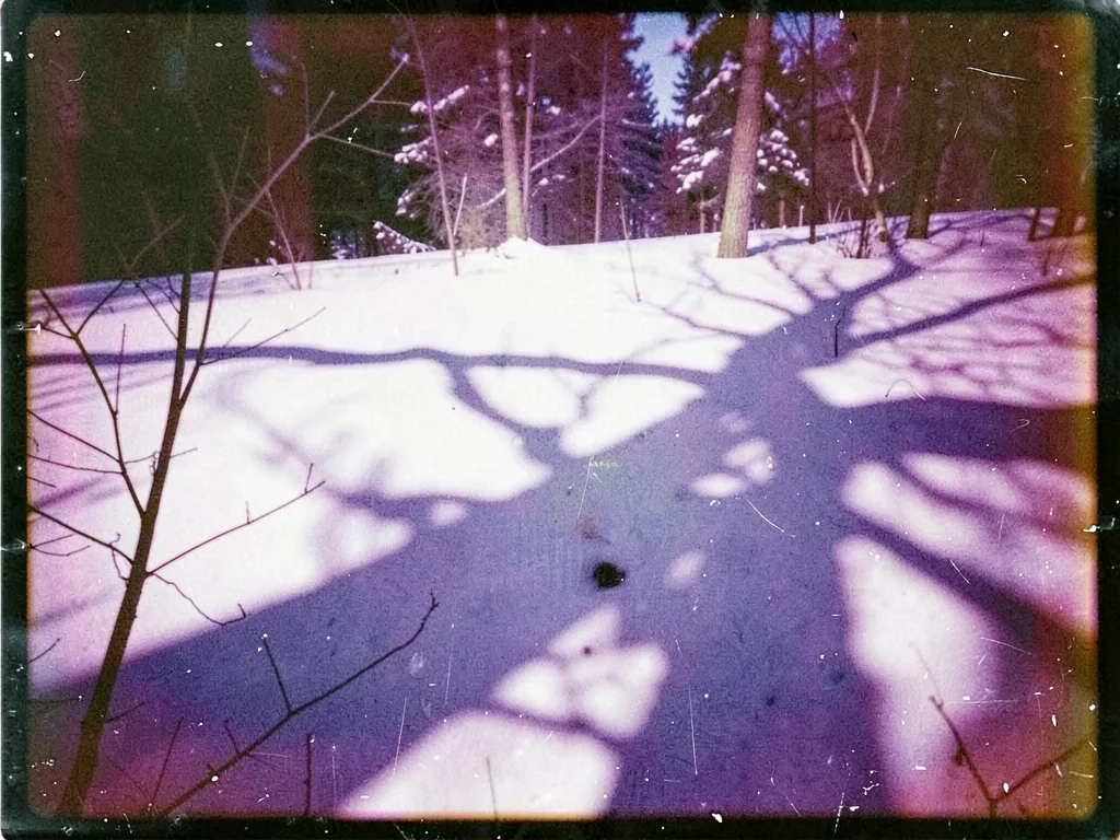 Snow scene with purple shadows