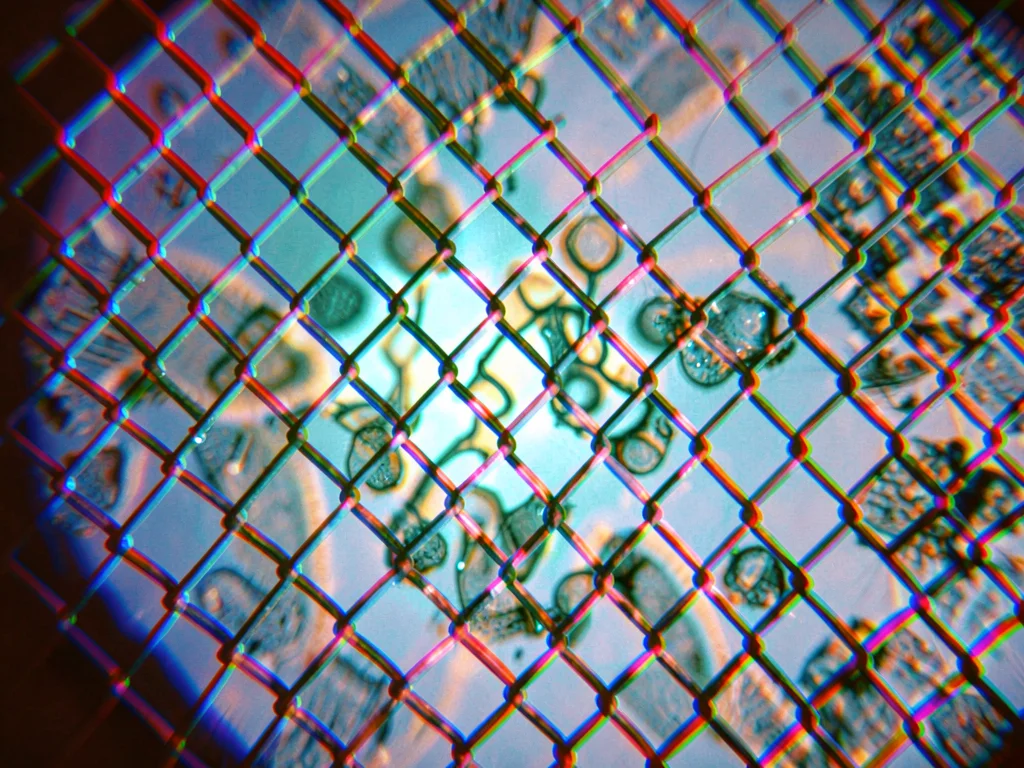 Lattice creating repeated fringing
