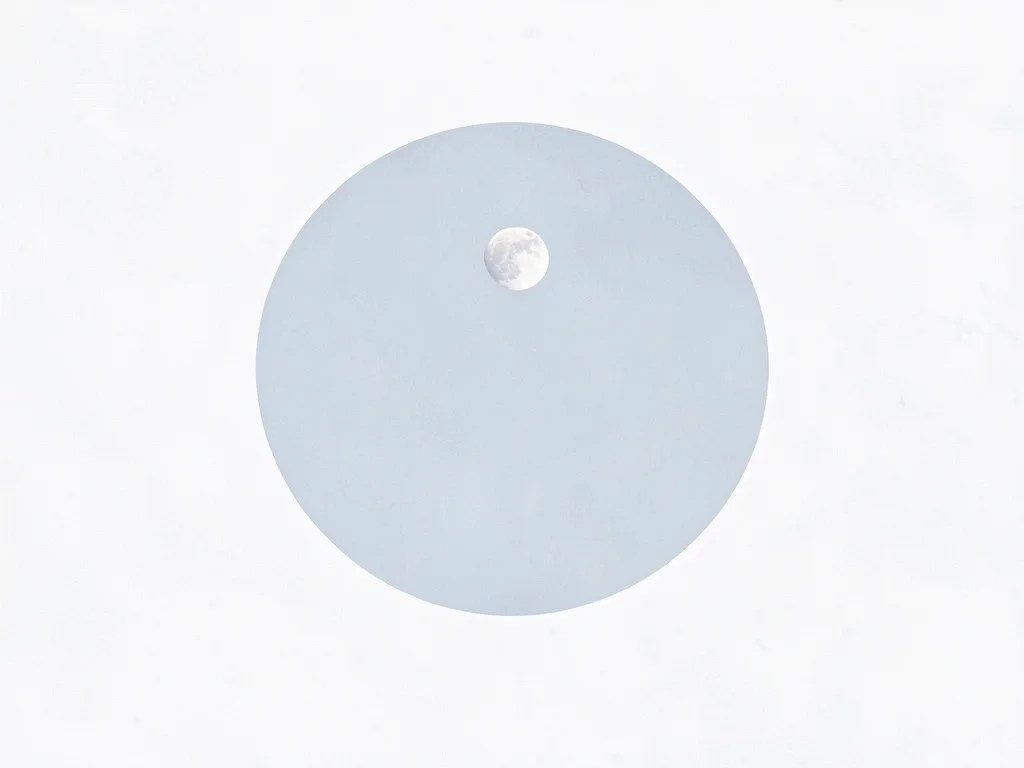 Moon visible in pale winter sky