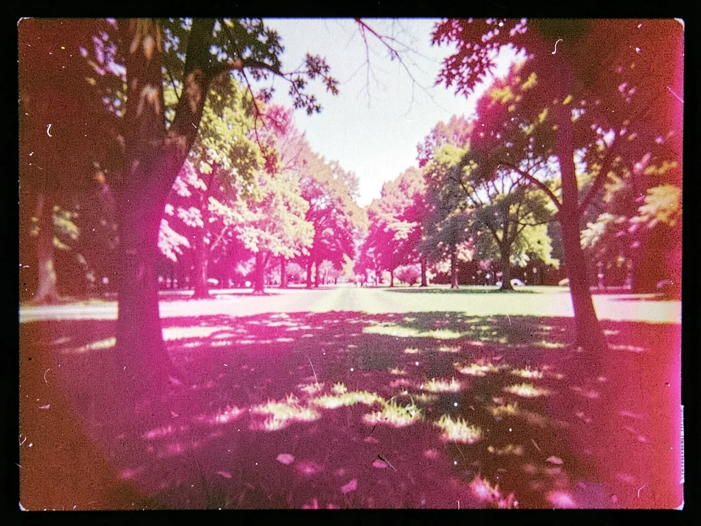Park scene with magenta intrusion