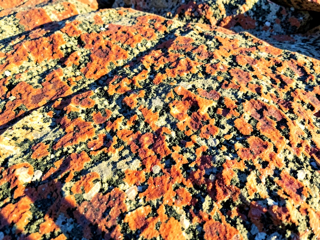 Summer sun on granite warm tones