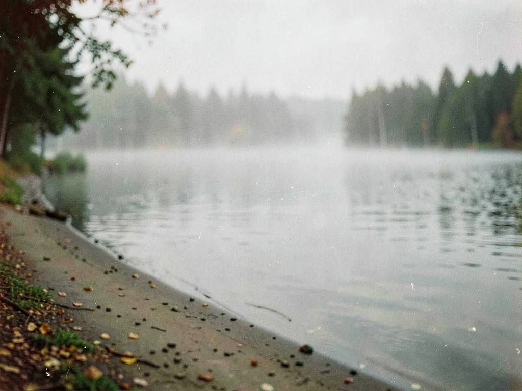 Lake shore soft with mist