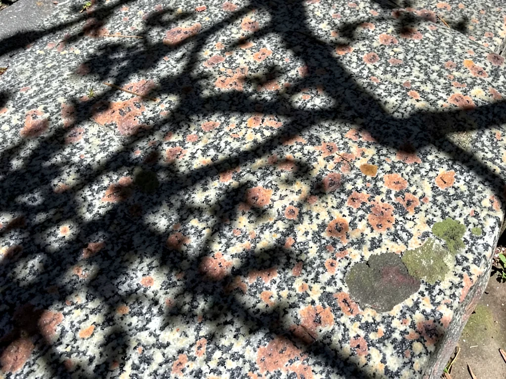 Shadow pattern from nearby tree on stone