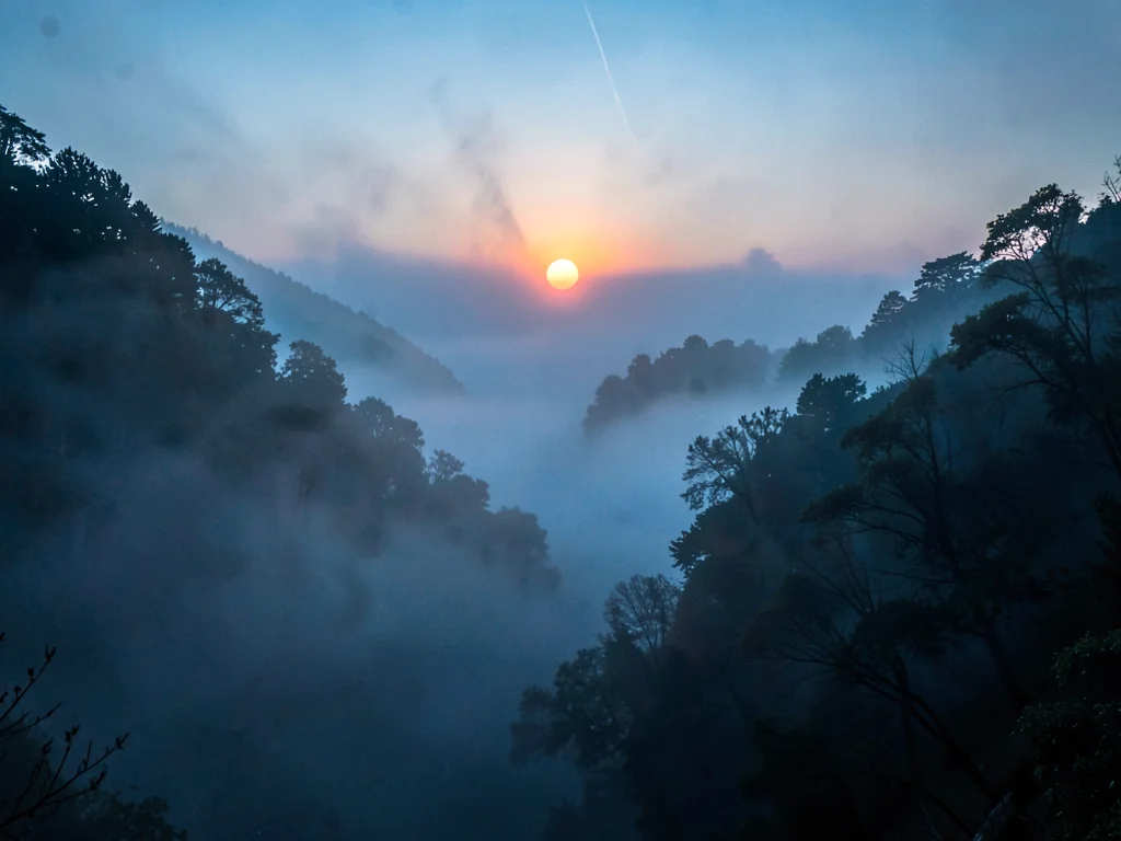 Sun disk visible through moderate fog depth