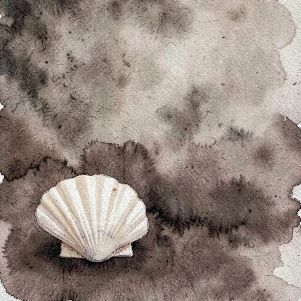 A single scallop shell rests in the lower-left in soft pearl against deep umber,