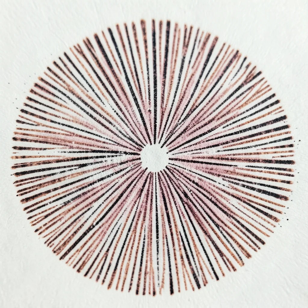 Mushroom gill pattern macro, radiating lines like sun rays