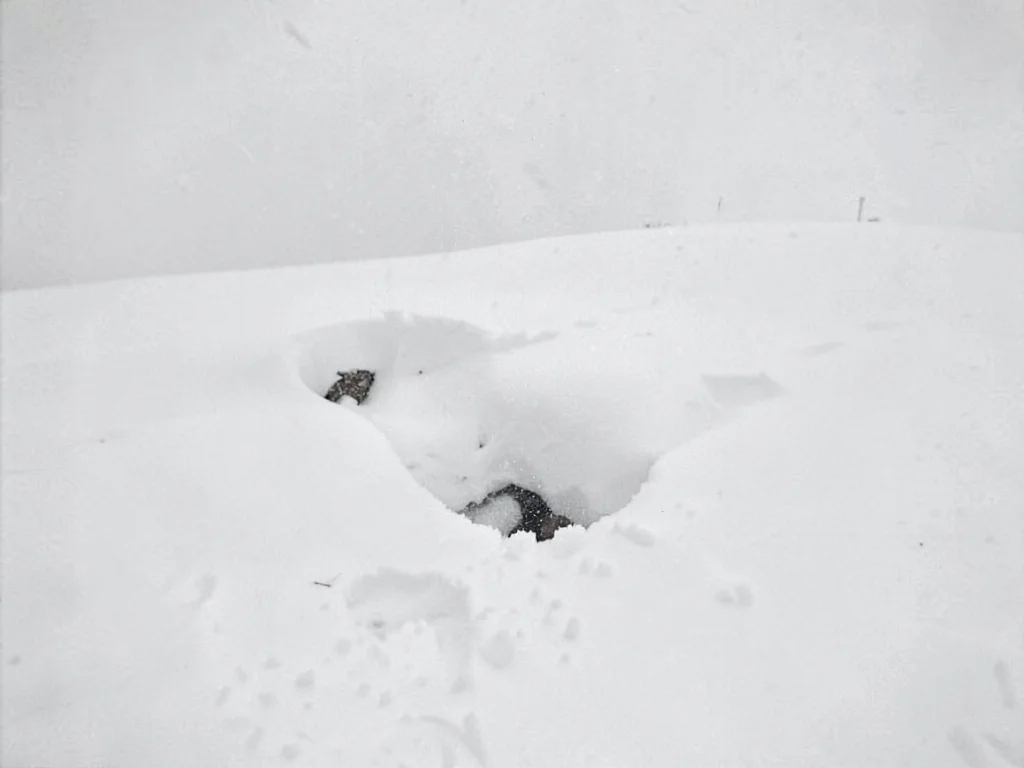 Slight depression suggesting buried object