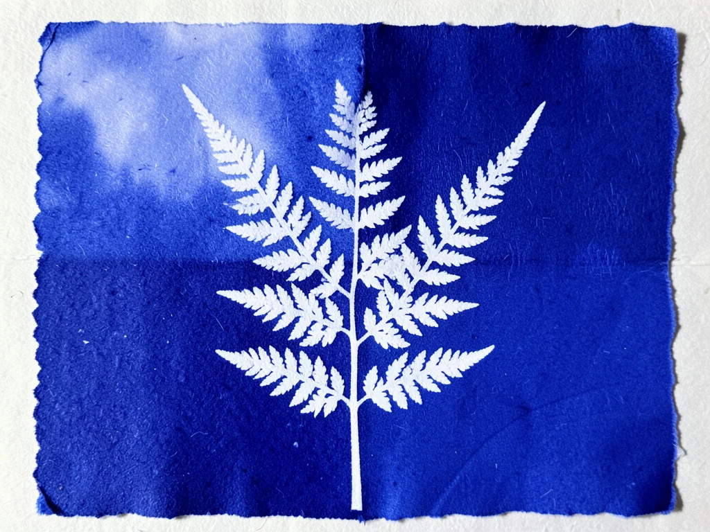 Cyanotype with partial exposure — half the paper covered during exposure creatin