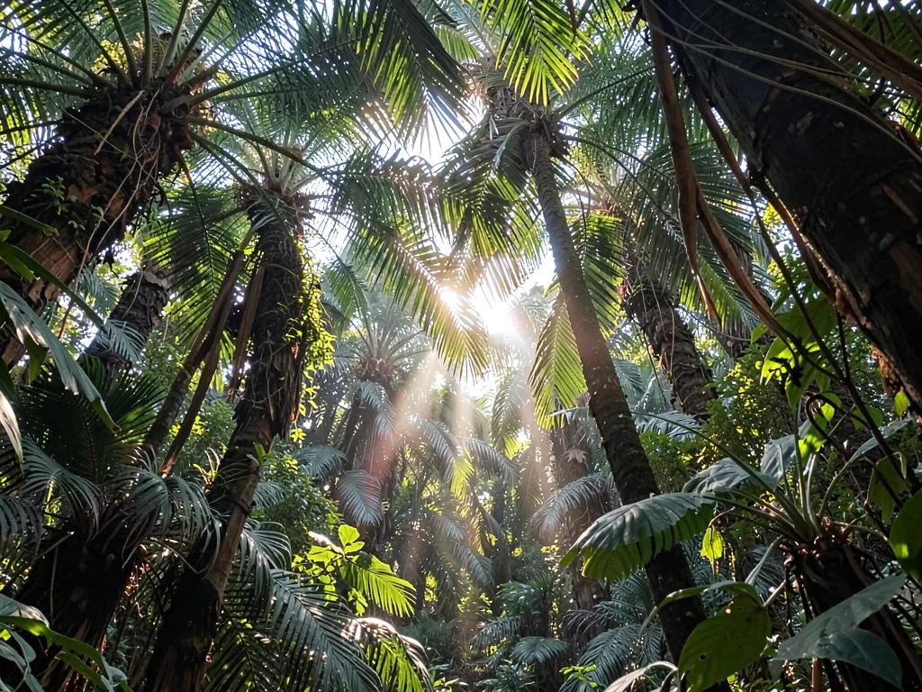 Palm fronds backlit by gap creating translucency