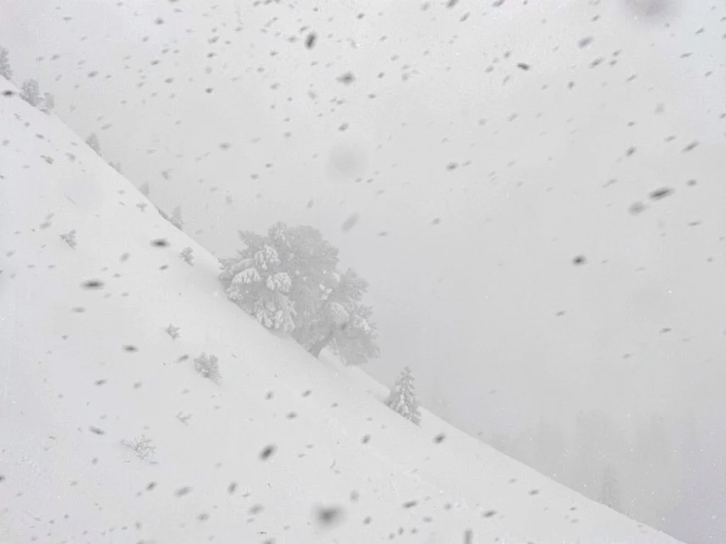 Snowfall creating texture in white
