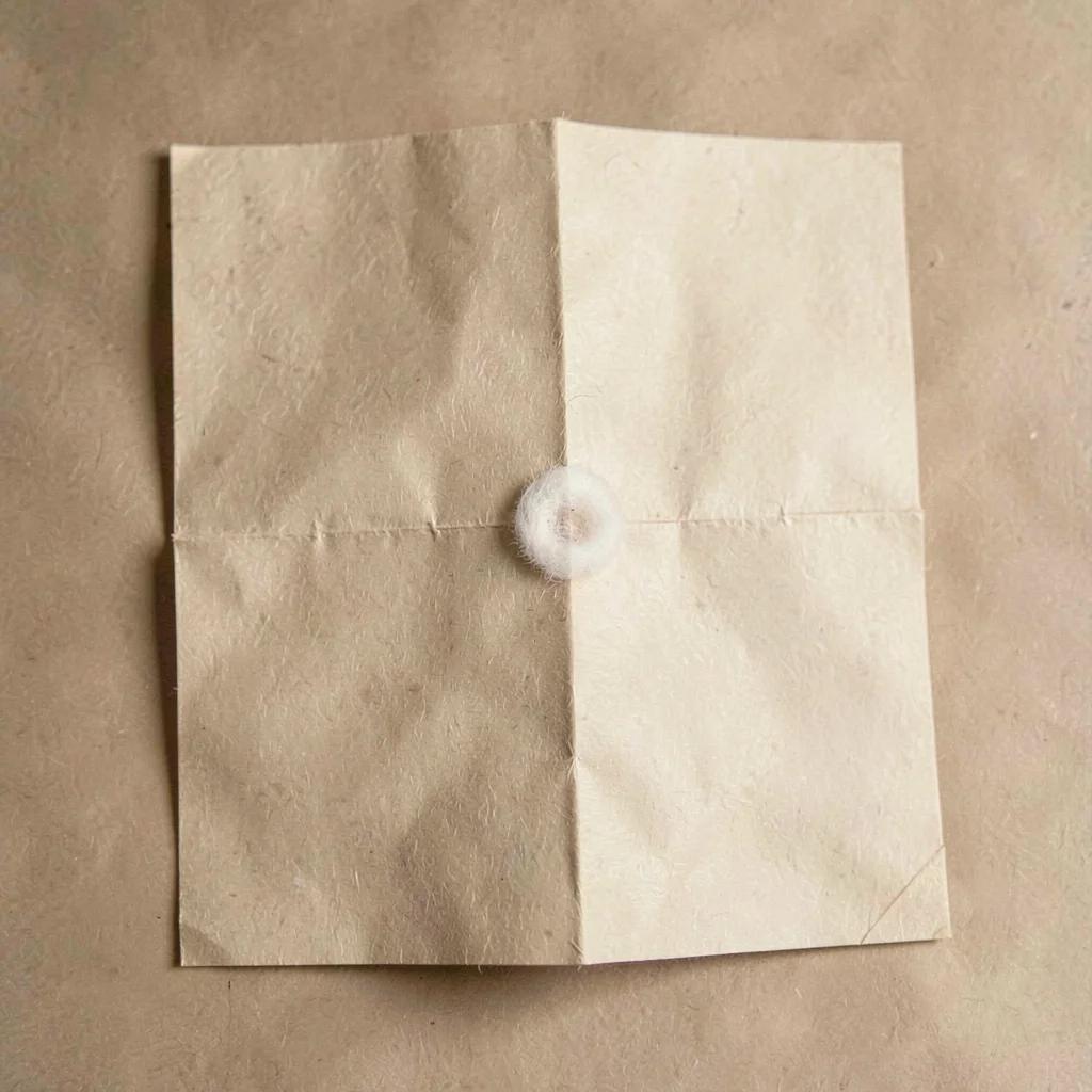 Paper-fold study of a single folio creased and re-creased, soft fiber halo at th