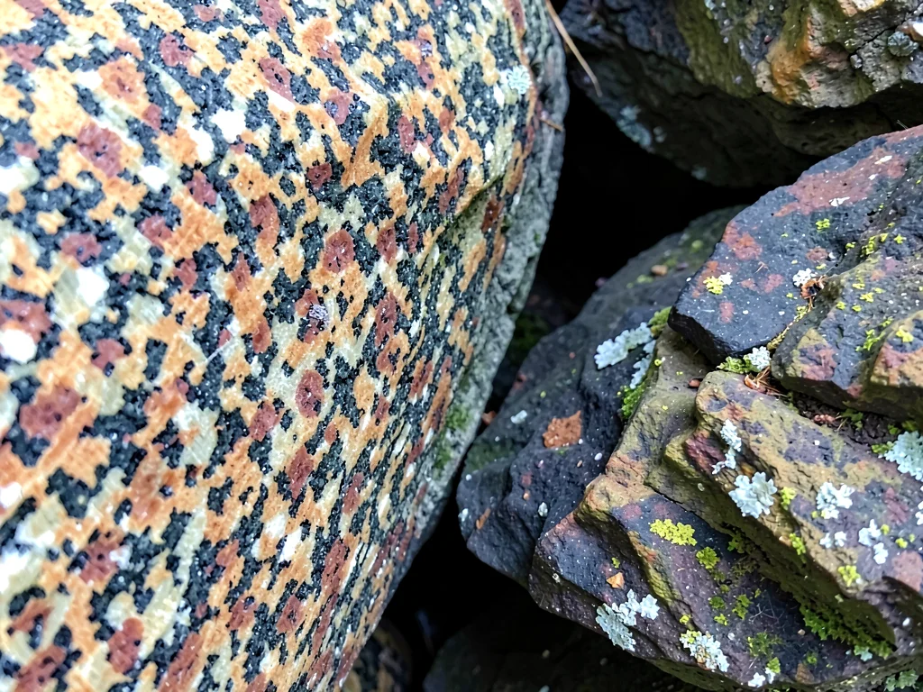 Granite meeting darker rock at intrusion