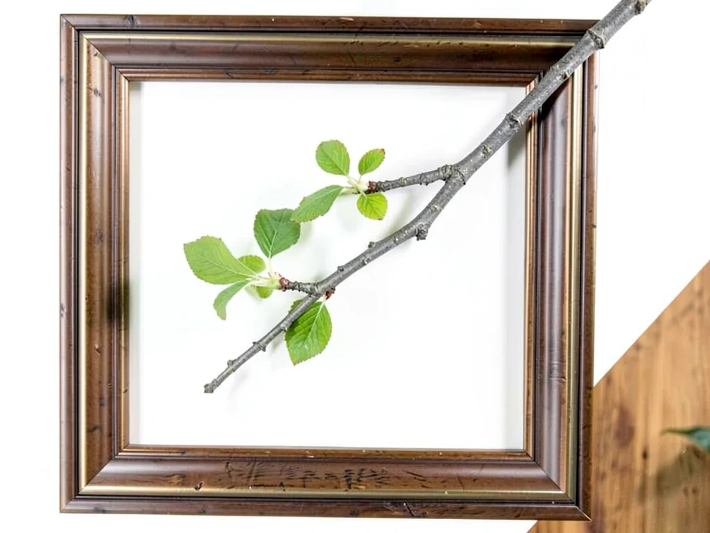 Single branch in frame edge