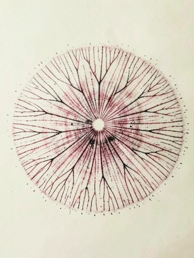 Spring morel mushroom spore print on cream paper, delicate branching pattern