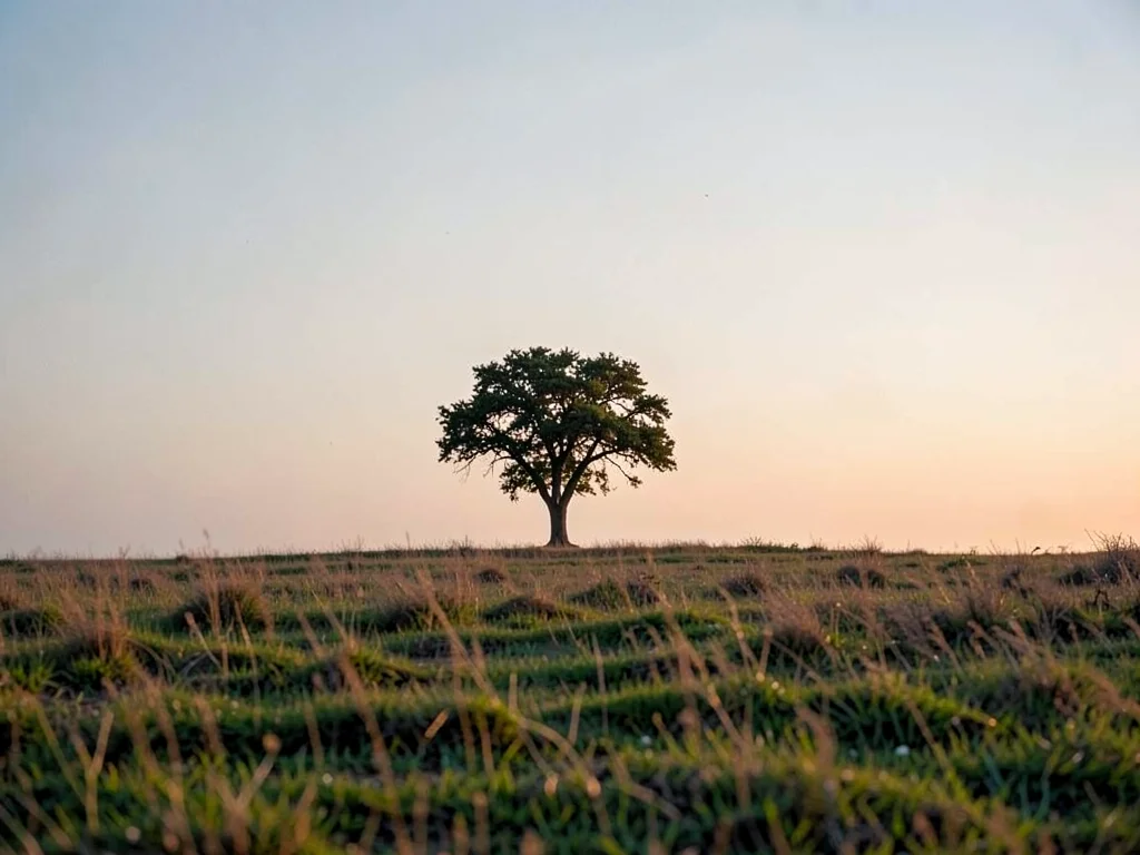 Lone tree on horizon