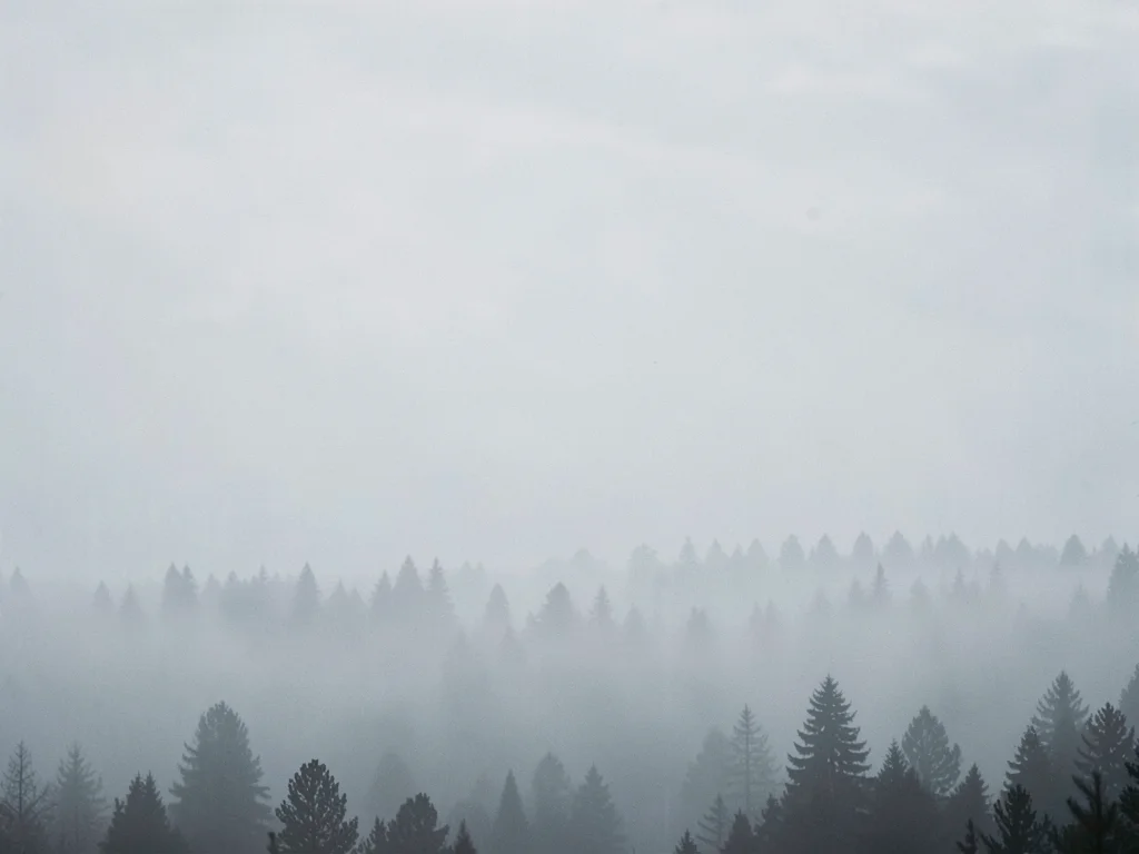 Dense fog erasing a forest into layers of increasingly faint tree silhouettes